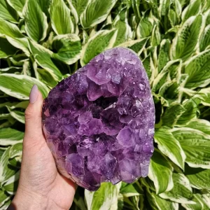 Amethyst Cluster (M)