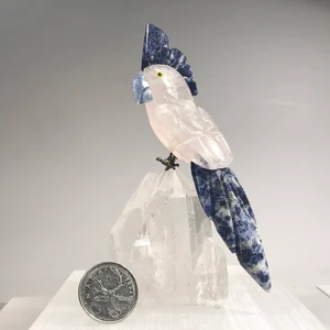 Cockatoo – Clear Quartz