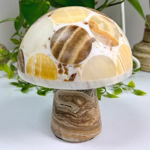 Onyx Mushroom